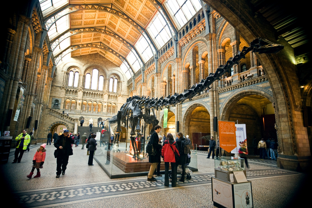 london-natural-history-museum
