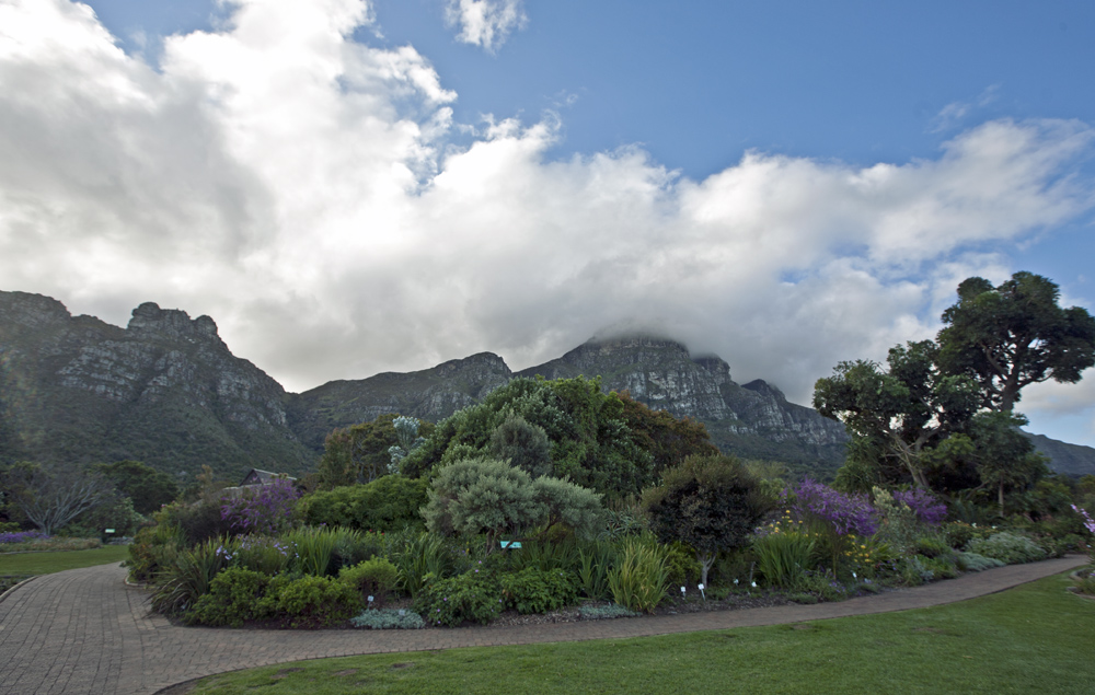 Kirstenbosch Gardens, City Sightseeing Cape Town, South Africa