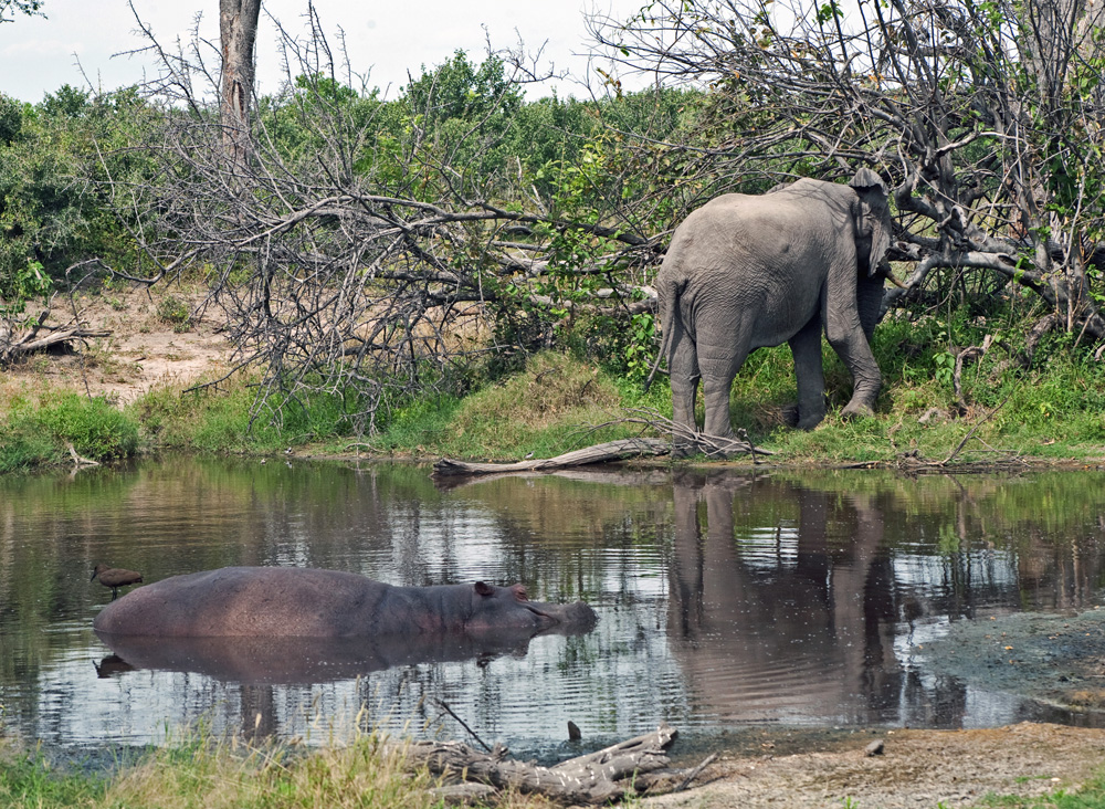 DumaTau, Botswana Safari Camp