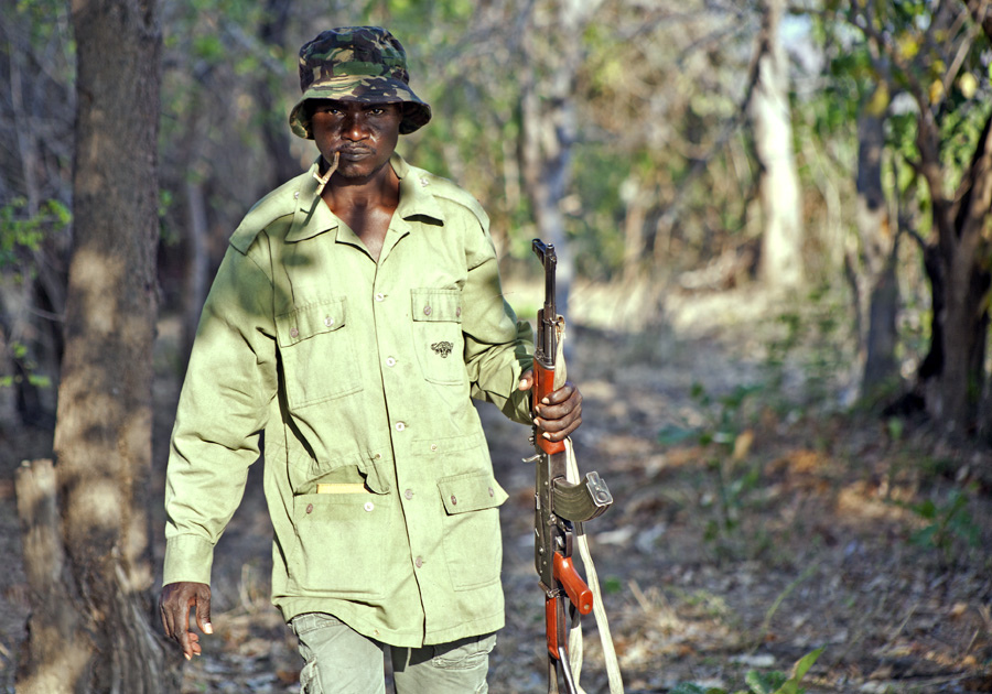 Ranger, Lukula Selous, Tanzania Safari