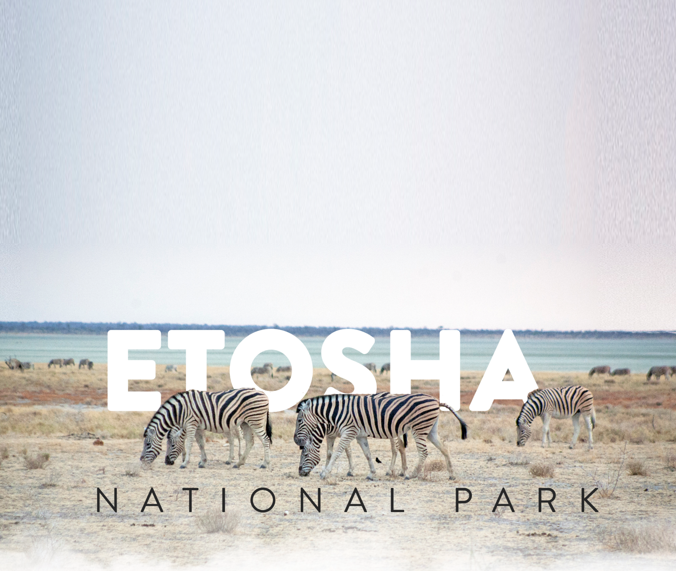 Etosha-national-park